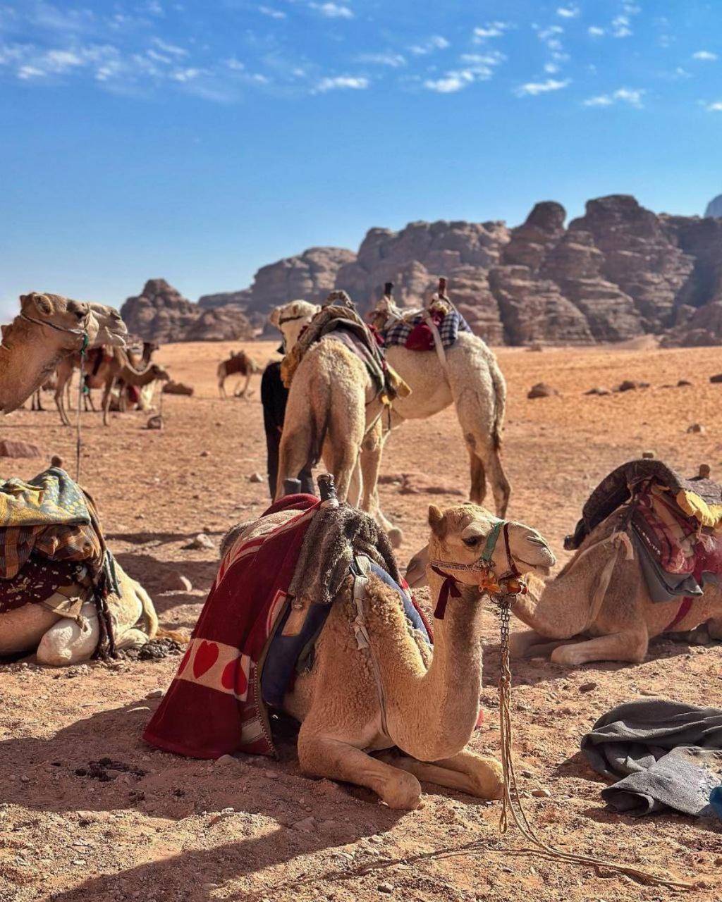 Martina Night Camp Wadi Rum